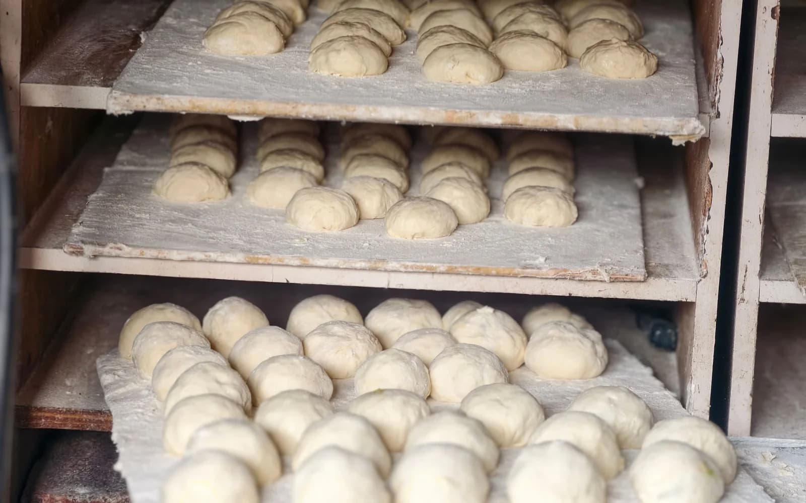 Brooddeeg in het rijsproces op bakkerijrekken