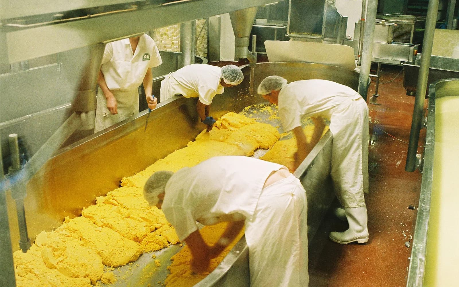 Zuivelproductielocatie met roestvrijstalen ketels